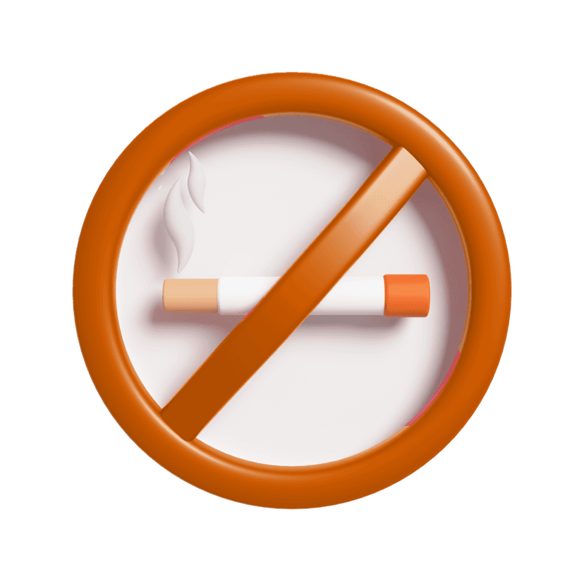 No Smoking/Vaping